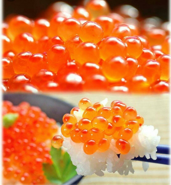 日本醬漬鮭魚卵