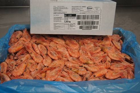 北極甜蝦 (一箱5公斤)